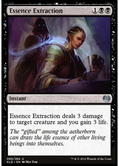 Essence Extraction