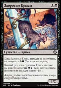 Здоровые Крысы
