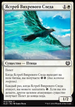 Ястреб Вихревого Следа