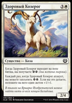 Здоровый Козерог