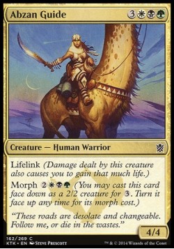 Abzan Guide