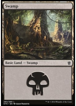 Swamp