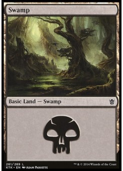 Swamp