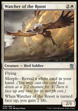 Watcher of the Roost