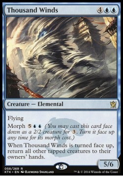 Thousand Winds