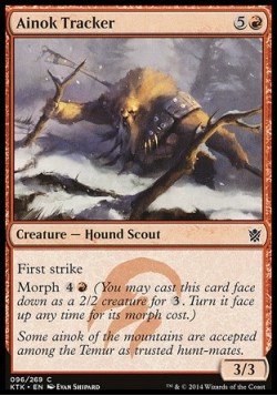 Ainok Tracker