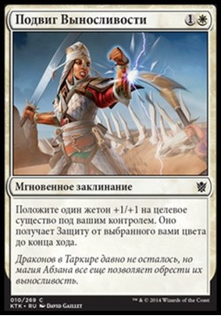 Подвиг Выносливости