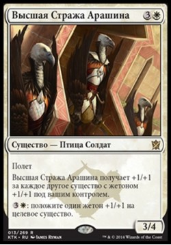 Высшая Стража Арашина