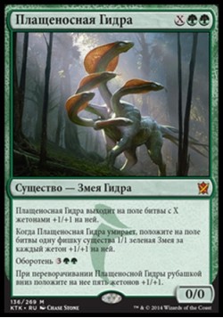 Плащеносная Гидра