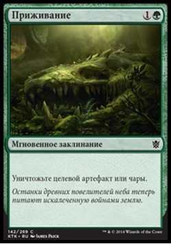 Приживание