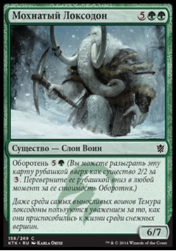 Мохнатый Локсодон