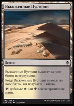 Выжженные Пустоши