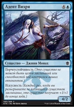 Адепт Вихря