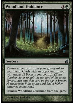 Woodland Guidance