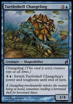 Turtleshell Changeling