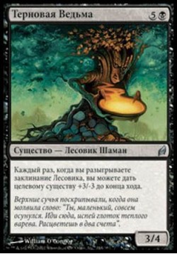 Терновая Ведьма