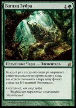 Взгляд Зубра