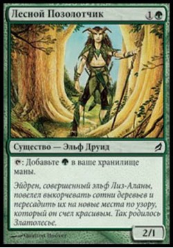 Лесной Позолотчик