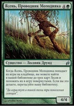 Ясень, Проводник Молодняка