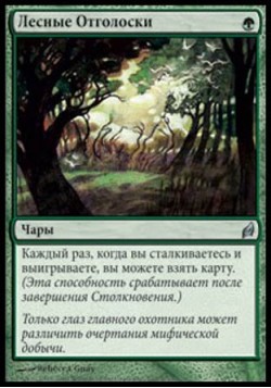 Лесные Отголоски