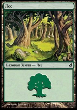 Лес