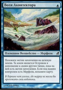 Воля Аквитектора