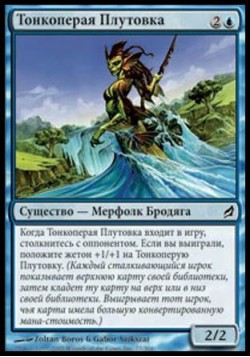 Тонкоперая Плутовка