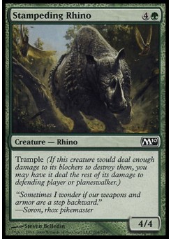 Stampeding Rhino