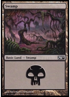 Swamp