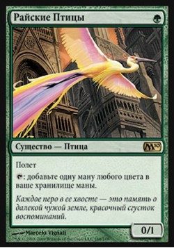 Райские Птицы