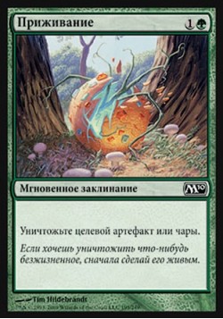 Приживание