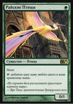 Райские Птицы