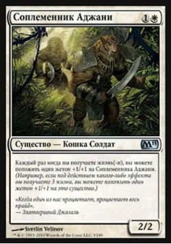 Соплеменник Аджани