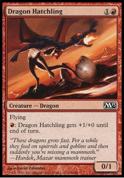Dragon Hatchling