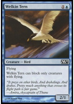 Welkin Tern