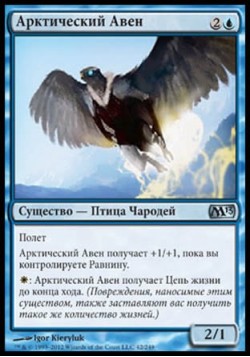 Арктический Авен