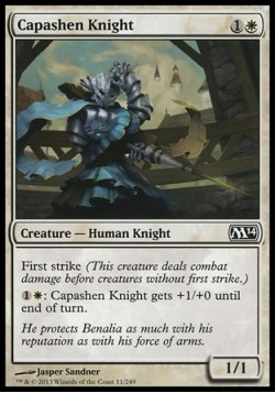 Capashen Knight