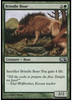 Brindle Boar