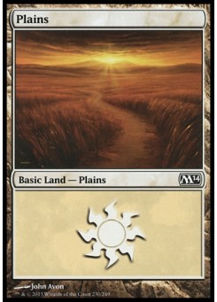 Plains