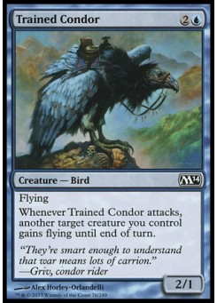 Trained Condor