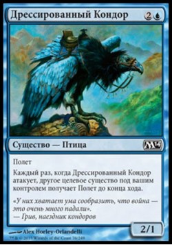 Дрессированный Кондор