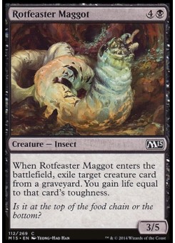 Rotfeaster Maggot