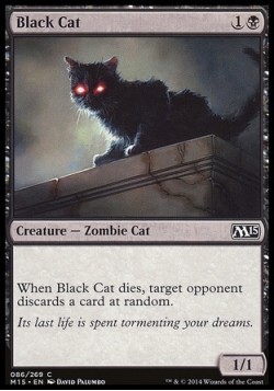 Black Cat