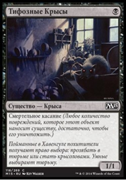 Тифозные Крысы
