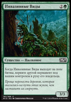 Инвазивные Виды