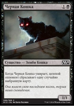 Черная Кошка
