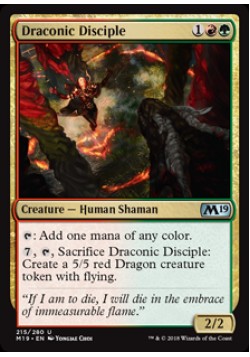 Draconic Disciple
