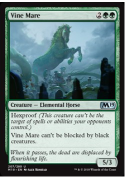 Vine Mare
