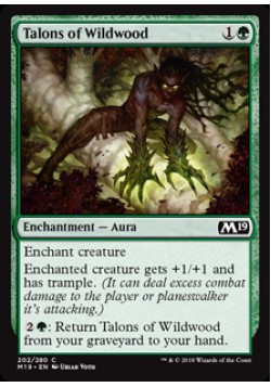 Talons of Wildwood