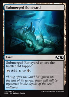 Submerged Boneyard